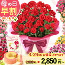 ＼本日18時に値段上がります／ 母の日 早割 プレゼント ははの日 花 生花 ギフト 鉢植え 希少 カーネーション 5号サイズ バウムクーヘン メッセージカード付き ラッピング 人気 おしゃれ かわいい 送料無料 スイーツ お菓子 洋菓子 ギフトセット おいもや