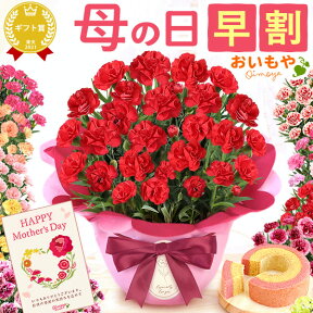 ＼まもなく値段上がります／ 母の日 早割 プレゼント ははの日 花 生花 ギフト 鉢植え 希少 カーネーション 5号サイズ バウムクーヘン メッセージカード付き ラッピング 人気 おしゃれ かわいい 送料無料 スイーツ お菓子 洋菓子 ギフトセット おいもや