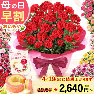 ＼本日18時に値段上がります／ 母の日 早割 プレゼント ははの日 花 生花 ギフト 鉢植え 希少 ...