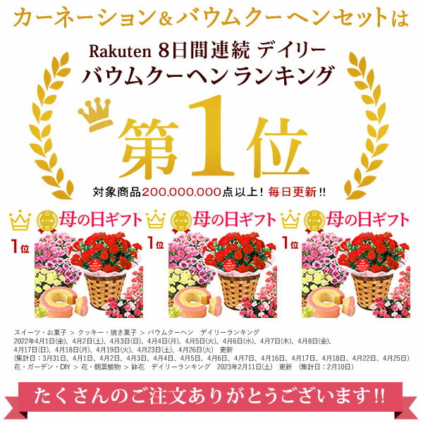 ＼0時に値段上がります／ 母の日 早割 プレゼント ははの日 花 生花 ギフト 鉢植え 希少 カーネーション 5号サイズ 4号 バウムクーヘン メッセージカード付き ラッピング 人気 おしゃれ かわいい 送料無料 スイーツ お菓子 洋菓子 ギフトセット おいもや