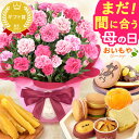 【ふるさと納税】花 豪華ラッピングでお届け　胡蝶蘭3本立ち 名入れ 結婚記念日 お祝い 開店祝い 母の日 記念日 プレゼント 父の日 卒業祝い 入学祝い ゴージャス エレガント おしゃれ 上品 日付指定可能 工房 パルテール