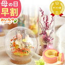 \早割!/ 母の日 早割 プレゼント 花 ギフト ドライフラワー ガラスドーム アンティーク ナチュラル インテリア 雑貨 置物 玄関 寝室 バウムクーヘン 選...