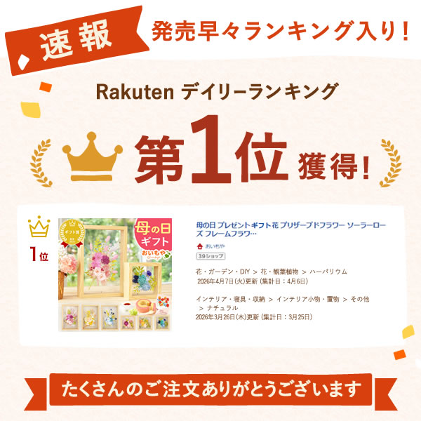 ＼最短発送★遅れてごめんね！／ 母の日 プレゼント 2026 花 プリザーブドフラワー ソーラーローズ フレームフラワー フラワーギフト アレンジメント インテリア フレーム ギフト bloom for you 送料無料 スイーツ お菓子 洋菓子 おいもや