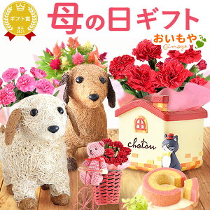 ＼今の早割25日まで！／ 母の日 プレゼント 花 ギフト カーネーション ケイトウ3号 犬 猫 くま 動物 生花 鉢植え 送料無料 スイーツ ギフトセット お母さん 実用的 【静岡 AA】