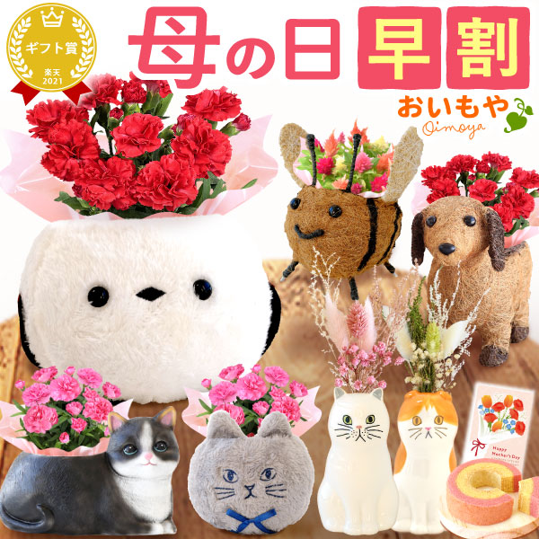 ＼ポイント3倍★今の早割4/18まで／ 母の日 プレゼント 早割 2026 花 生花 カーネーション ケイトウ 花鉢 鉢花 鉢植え 一輪挿し ドライフラワー 動物 アニマル 犬 猫 いぬ ネコ ねこ シマエナガ クマ くま バウムクーヘン ギフト 送料無料 スイーツ お菓子 洋菓子 おいもや