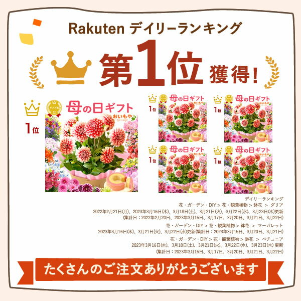 ＼4月22日お値段上がります／ 母の日 早割 プレゼント ははの日 花 ギフト 紫陽花 あじさい アジサイ 生花 鉢花 鉢植え 希少 花鉢 ダリア マーガレット ユリ シャクナゲ ペチュニア ベゴニア バーベナ ジャスミン 送料無料 スイーツ お菓子 洋菓子 ギフトセット おいもや