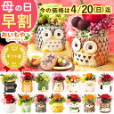【今の早割4/20まで!】 母の日 早割 プレゼント 花 ギフト プリザーブドフラワー ミニ 動物 アニマル フラワーアレンジメント バラ 薔薇 一輪 置き物 ふくろう 犬 猫 かわいい おしゃれ どら焼き 送料無料 スイーツ お菓子 和菓子 ギフトセット おいもや