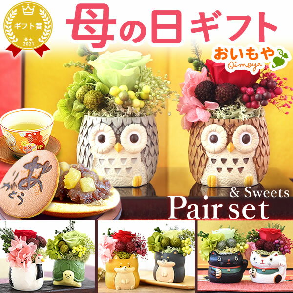 母の日 プレゼント 花 ギフト プリザーブドフラワー アニマル 動物 ペア ミニ 小さい かわいい おしゃれ ふくろう 犬 猫 バラ 薔薇 一輪 セット どら焼き どらやき 送料無料 スイーツ お菓子 和菓子 ギフトセット おいもや