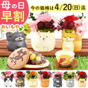【今の早割4/20まで!】 母の日 早割 プレゼント 花 ギフト プリザーブドフラワー 犬 犬好き フラワーアレンジメント かわいい おしゃれ ペット バラ 薔...