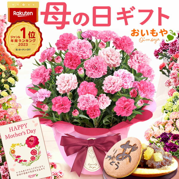 ＼受賞記念★限定クーポン／ 母の日 プレゼント まだ間に合う お花 2024 ギフト 生花 鉢植え 希少 鉢花...