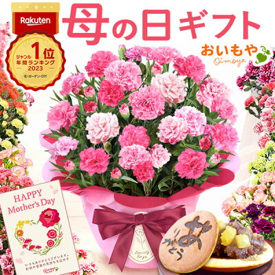 ＼年間ランキング1位／ 母の日 プレゼント お花 2024 ギフト 生花 鉢植え 希少 鉢花 カーネーション あじさい 紫陽花 5号 どら焼き おしゃれ かわいい 送料無料 スイーツ お菓子 和菓子 ...