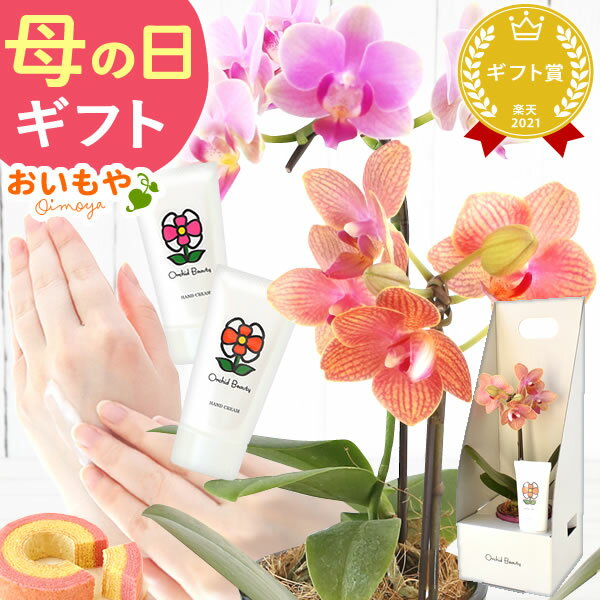 ＼本日エントリー4倍／ 母の日 プレゼント ははの日 花 生花 ギフト 胡蝶蘭 ミディ 蘭 ラン 鉢花 鉢植え 生花 パプリカ サクラン ハンドクリーム お祝い おしゃれ 可愛い かわいい バウムクーヘン 送料無料 スイーツ お菓子 洋菓子 ギフトセット おいもやのサムネイル