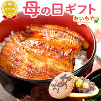 ＼まだ間に合う！／ 母の日 プレゼント ギフト うなぎ 鰻 かば焼き 送料無料 カッ...