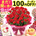 \早い者勝ち★100円OFFクーポン!/ 母の日 プレゼント 花 生花 ギフト 鉢植え 希少 カーネーション 5号サイズ 4号 バウムクーヘン メッセージカード...