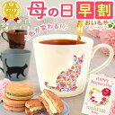 【イルビゾンテ　IL BISONTE　カップ＆ボトル】ロゴマグカップ[商品番号_54172304498]【あす楽対応】