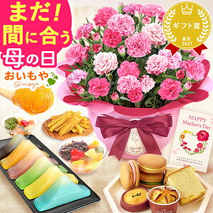 \まだ間に合う!/ 母の日 プレゼント 花 生花 ギフト カーネーション 鉢植え 5号 花鉢 干し芋 スイートポテト どら焼き ようかん かりんとう ゼリー クッキー あんみつ 送料無料 スイーツ お菓子 和菓子 洋菓子 おいもや