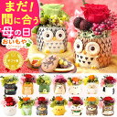 \まだ間に合う!/ 母の日 プレゼント 花 ギフト プリザーブドフラワー ミニ 動物 アニマル フラワーアレンジメント バラ 薔薇 一輪 置き物 ふくろう 犬 ...