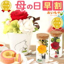 ＼本日エントリー4倍＆早割／ 母の日 早割 プレゼント ははの日 花 ギフト ムーミン ニョロニョロ