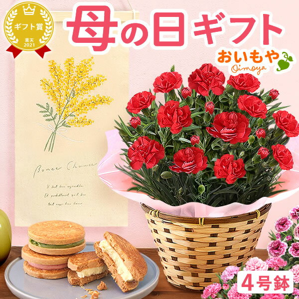 ＼早い者勝ち★150円クーポン／ まだ間に合う 母の日 プレゼント 花 生花 実用的 ギフト 鉢花 花鉢 焼き菓子 バターサンド クッキー スイートポテト サブレ おしゃれ 送料無料 スイーツ お菓子 洋菓子 ギフトセット おいもやのサムネイル
