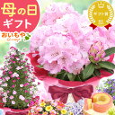 \15時までの注文で当日発送!/母の日 プレゼント 花 生花 ギフト 鉢植え 花鉢 鉢花 ダリア あじさい アジサイ 紫陽花 バラ 薔薇 ユリ 百合 マーガレッ...