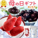 \最終受付中!/ 母の日 プレゼント 実用的 ギフト 冷凍いちご いちご イチゴ 苺 ストロベリー あきひめ 章姫 ブルーベリー 静岡 国産 冷凍フルーツ 果物...