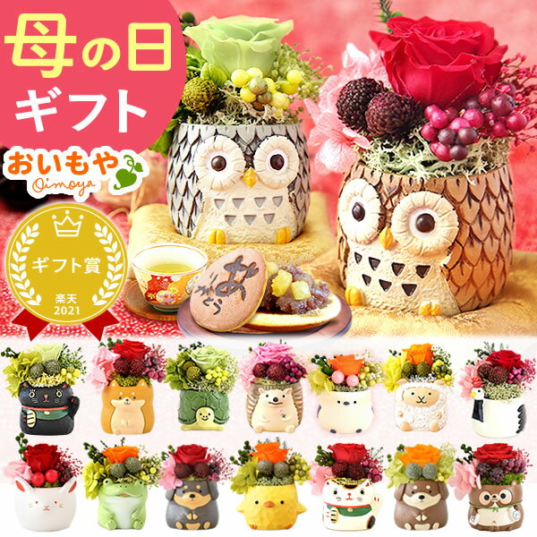 楽天市場】猫 置物(花・観葉植物|花・ガーデン・DIY)の通販 楽天市場】猫 置物(花・観葉植物|花・ガーデン・DIY)の通販