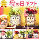 \遅れてごめんね!/ 母の日 プレゼント 花 ギフト プリザーブドフラワー アレンジメント 動物 ペア セット ふくろう 猫 猫好き 猫グッズ 犬 薔薇 バラ ...
