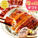 \15時までの注文で当日発送!/母の日 プレゼント ギフト 鰻 うなぎ ウナギ 蒲焼 かば焼 かば焼き 蒲焼き 国産 冷凍 真空パック 詰め合わせ 花以外 送料...