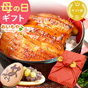 \早い者勝ち★250円クーポン/ まだ間に合う 母の日 プレゼント 花 ギフト 鰻 うなぎ ウナギ 国産 かば焼 蒲焼き 蒲焼 かば焼き うなぎ蒲焼き グルメ ...