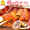 \15時までの注文で当日発送!/母の日 プレゼント ギフト うなぎ 鰻 ウナギ 国産 蒲焼き 蒲焼 かば焼き かば焼 グルメ 冷凍 真空パック 花以外 送料無料...