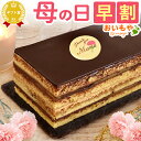 ＼今なら早割！／ 母の日 プレゼント 花以外 ギフト オペラ チョコ チョコレート 洋菓子 グルメ 送料無料 スイーツ ギフトセット 【静岡 AA】