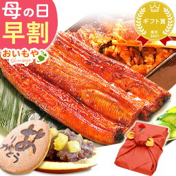 うなぎのたなか うなぎ ＼早割！／ 母の日 早割 プレゼント ははの日 ギフト 鰻 うなぎ 蒲焼き 冷凍 国産 蒲焼 かば焼き カット グルメ 真空パック 花以外 送料無料 スイーツ お菓子 和菓子 ギフトセット oimoya FA