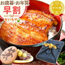 \早割&限定クーポン!/ お歳暮 ギフト 2025 うなぎ 蒲焼き 鰻 かば焼 かば焼き ウナギ 冷凍 真空パック 国産 静岡 スイーツ 和菓子 お菓子 送料無...