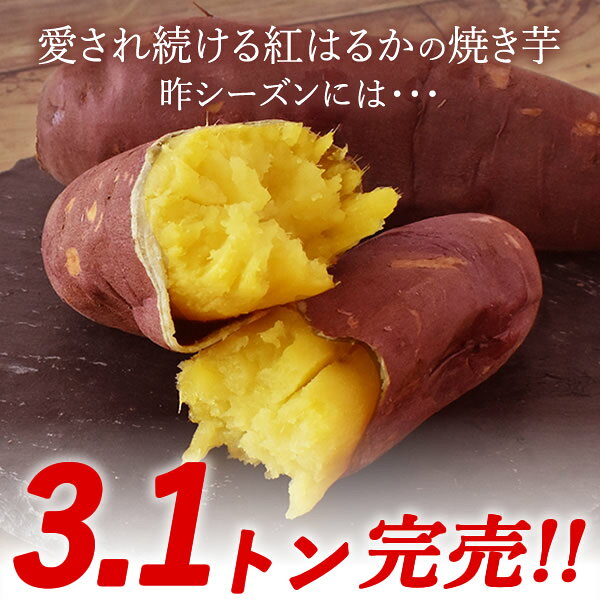 ＼早割！／ お歳暮 ギフト 2026 焼き芋 やきいも スティック 国産 紅はるか さつまいも 個包装 3本 3個セット おもしろ ねっとり プチギフト スイーツ お菓子 和菓子 送料無料 お取り寄せ 手土産 冬ギフト 御歳暮 お年賀 御年賀 おいもや oimoya-10002981 おいもや サンプル画像3