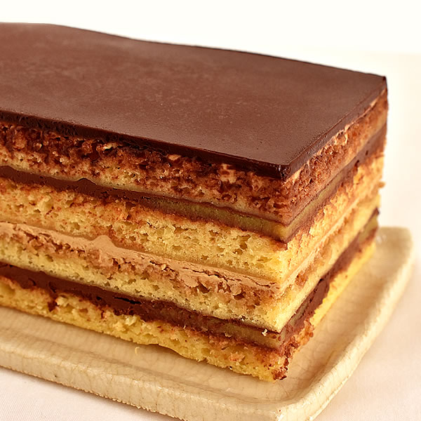 楽天市場 早割 クリスマスケーキ 予約 送料無料 チョコレートケーキ オペラ チョコ プレゼント 人気 スイーツ お菓子 ギフト 静岡 おいもや