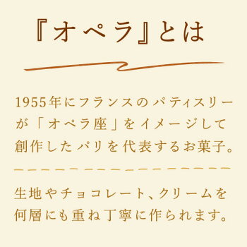 \早割!/クリスマスケーキ送料無料2020チョコレートケーキオペラチョコプレゼントスイーツお菓子ギフト【静岡AA】