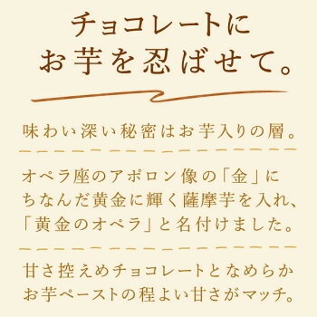 \早割!/クリスマスケーキ送料無料2020チョコレートケーキオペラチョコプレゼントスイーツお菓子ギフト【静岡AA】