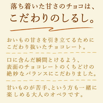 \早割!/クリスマスケーキ送料無料2020チョコレートケーキオペラチョコプレゼントスイーツお菓子ギフト【静岡AA】