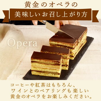\早割!/クリスマスケーキ送料無料2020チョコレートケーキオペラチョコプレゼントスイーツお菓子ギフト【静岡AA】