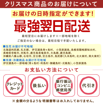 \早割!/クリスマスケーキ送料無料2020チョコレートケーキオペラチョコプレゼントスイーツお菓子ギフト【静岡AA】