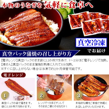 敬老の日プレゼント敬老の日ギフト早割うなぎ食品和菓子送料無料敬老の日プレゼントスイーツお菓子ギフト【静岡AA】9