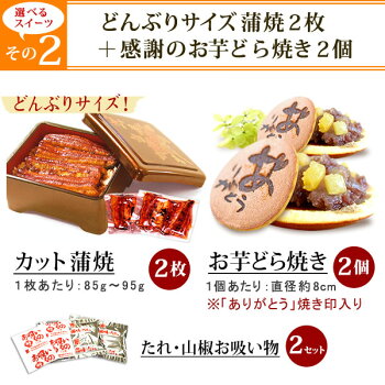 敬老の日プレゼント敬老の日ギフト早割うなぎ食品和菓子送料無料敬老の日プレゼントスイーツお菓子ギフト【静岡AA】13