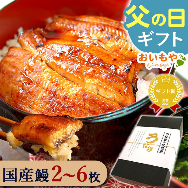 ＼今夜23:59迄★P4倍&150円クーポン／ 父の日 うなぎ まだ間に合う プレゼント ギフト 2...