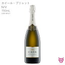 カイール カイール・ブリュット N/V CAIR CAIR BRUT 酒 お酒 ワイン スパークリングワイン 家飲み 手土産 ギリシャワイン 750ml 食前酒 食中酒