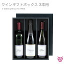 お酒（1000円程度） ワインギフトボックス(3本用) 3-bottles gift box for WINE ギフト ワインギフト プレゼント お祝い 贈り物 お酒 お中元 お歳暮 3本用 のし代無料