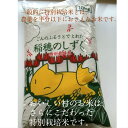 人気ランキング第12位「おいしい村」口コミ数「14件」評価「4.71」白米　玄米　新米　あいちのかおり　ゆめまつり　愛知県産　特別栽培米　10キロ