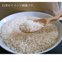R6年産 白米 玄米 新米 コシヒカリ あいちのかおり 愛知県産 1キロ