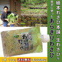 万能調味料 わさび 送料無料 植本わさび 100g 生わさび 100%国産 使用 万能調味料 広島名産 吉和 わさび 本格派わさびチューブ 肉料理 行列 わさび 葉漬け ステーキ 万能ソース ワサビ ソース お刺身