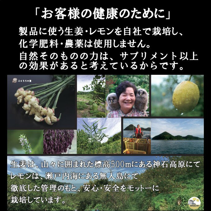 国産生姜 生姜シロップ 150ml しょうが ...の紹介画像2