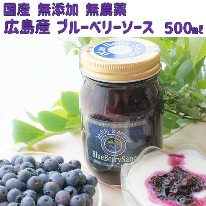 国産 フルーツ ソース 無農薬 無添加 ブルーベリーソース 500ml×2本 送料無料 フルーツ ソース ヨーグルト ヨーグルトソース フルーツ 国産ブルーベリー アイスクリーム パンケーキ 果物 ソース トッピングソース 美味しい 健康志向 天然素材 広島 神峯園 贈答